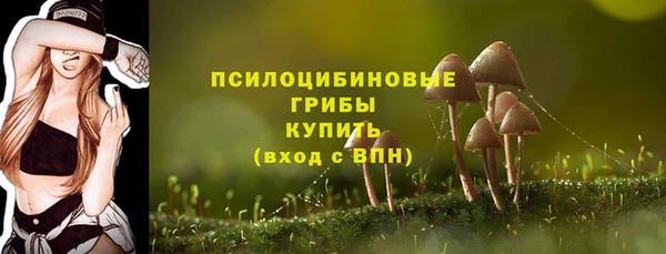 кокс Михайлов