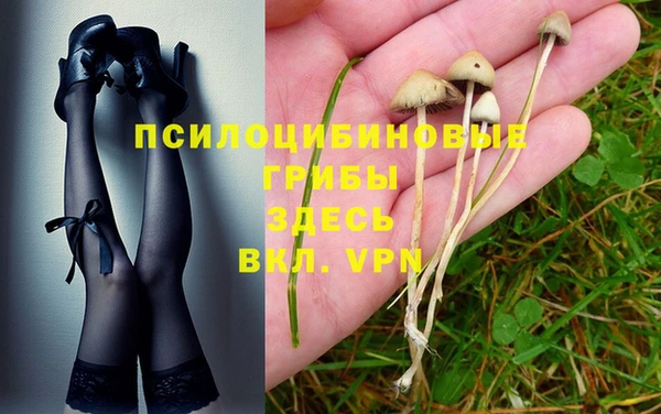 кокс Михайлов