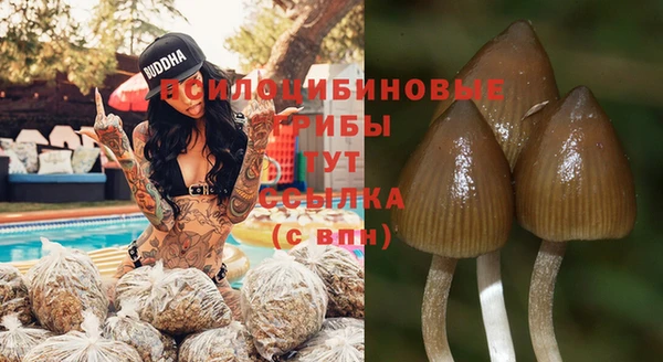 гашиш Михайловск