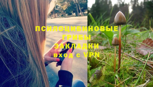 кокс Михайлов