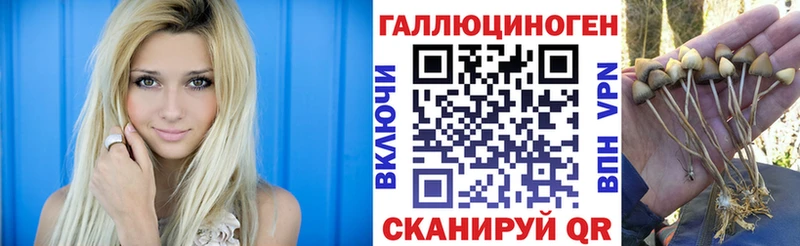 Галлюциногенные грибы мухоморы  Жирновск 