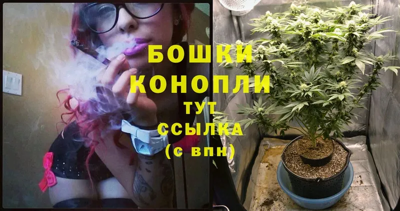 Бошки Шишки White Widow  Жирновск 